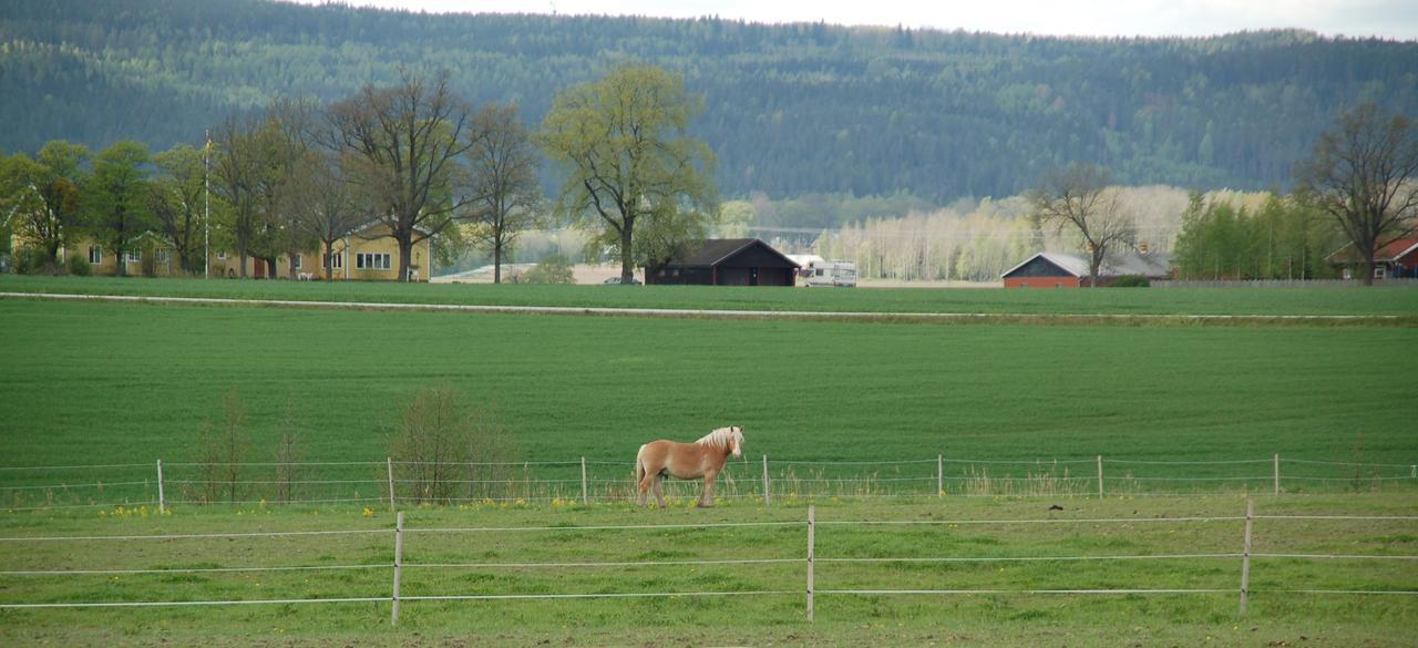 Vallby Farm Camp Orebro Luaran gambar